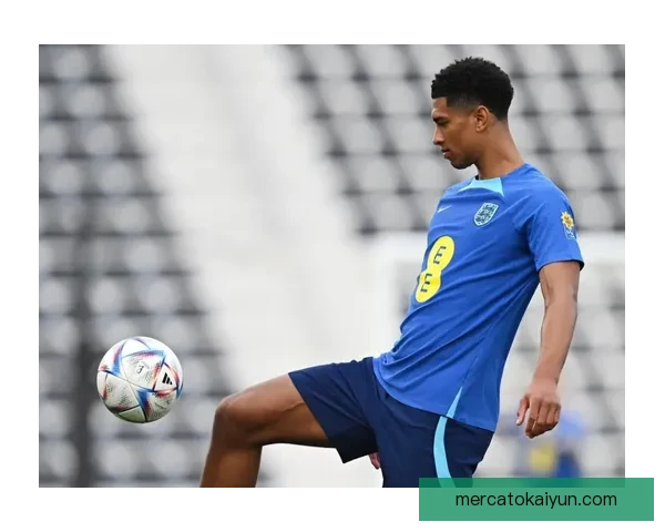 英格兰世界杯四强表现分析，竞争力增强引发关注