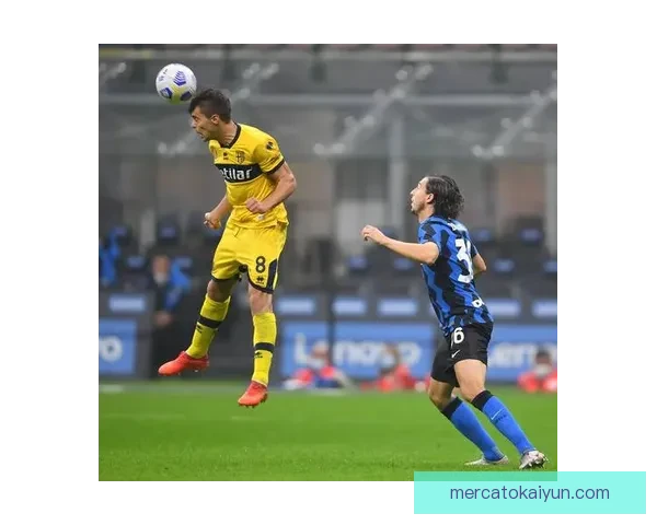 帕尔马球队结构解析：当前阵容框架与战术体系分析分析